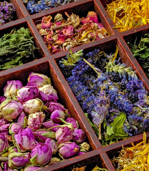 A Cup of Calm: The Best Herbal Teas for Mind and Body